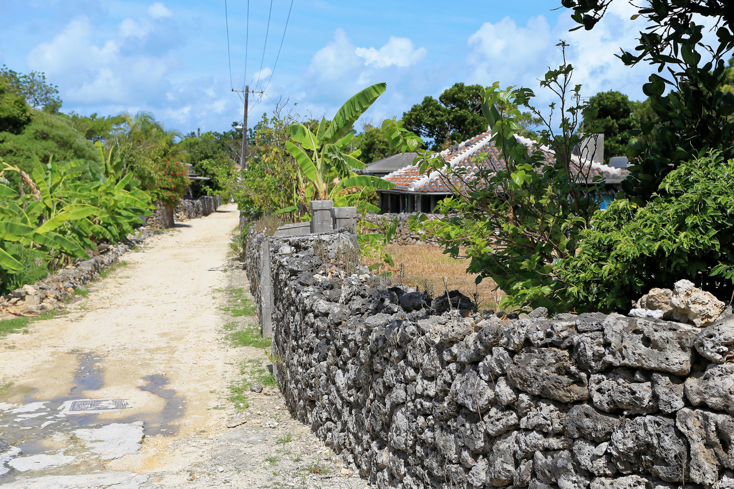 taketomi island (4).webp